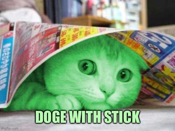 RayCat Scared | DOGE WITH STICK | image tagged in raycat scared | made w/ Imgflip meme maker