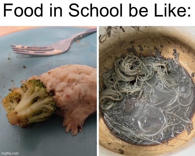 fr | Food in School be Like: | image tagged in gross,food,wtf,disgusting,school,memes | made w/ Imgflip meme maker