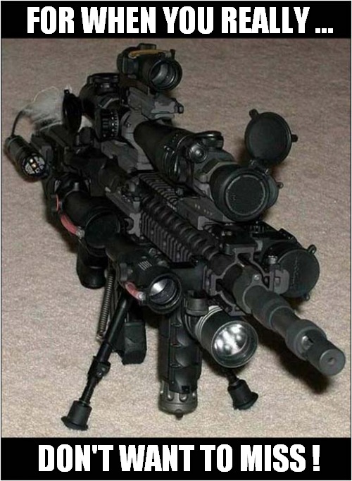 That's A Lot Of Sights ! | FOR WHEN YOU REALLY ... DON'T WANT TO MISS ! | image tagged in guns,sights,dark humour | made w/ Imgflip meme maker