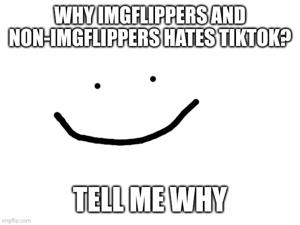 Why? | WHY IMGFLIPPERS AND NON-IMGFLIPPERS HATES TIKTOK? TELL ME WHY | image tagged in tiktok,imgflip,tiktok sucks,tik tok sucks | made w/ Imgflip meme maker