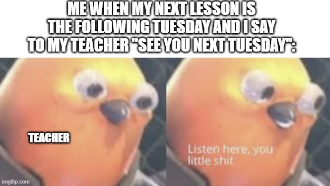 "C u Next Tuesday" | ME WHEN MY NEXT LESSON IS THE FOLLOWING TUESDAY AND I SAY TO MY TEACHER "SEE YOU NEXT TUESDAY":; TEACHER | image tagged in blank white template,listen here you little shit bird | made w/ Imgflip meme maker