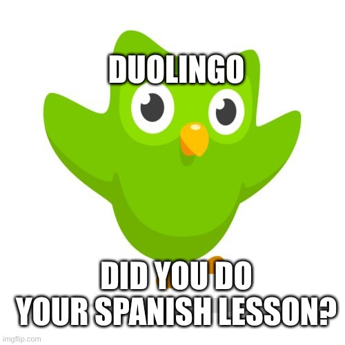 things duolingo teaches you | DID YOU DO YOUR SPANISH LESSON? DUOLINGO | image tagged in things duolingo teaches you | made w/ Imgflip meme maker