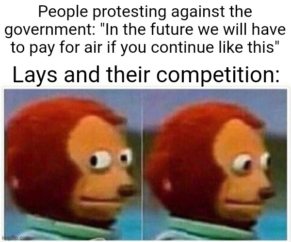 They already sell air | People protesting against the government: "In the future we will have to pay for air if you continue like this"; Lays and their competition: | image tagged in memes,puppet monkey looking away,lays chips,potato chips,air | made w/ Imgflip meme maker
