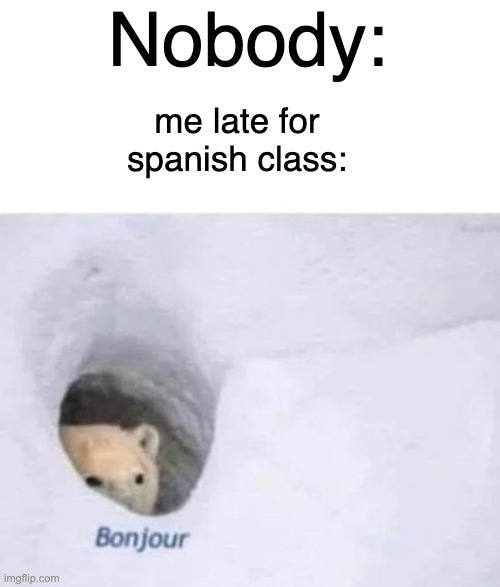 how did I forget to study again | Nobody:; me late for spanish class: | image tagged in bonjour,spanish,school,memes,funny memes,funny | made w/ Imgflip meme maker