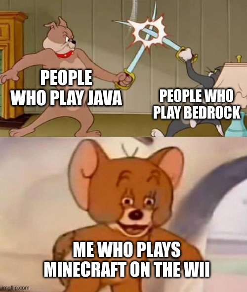 Tom and Jerry swordfight | PEOPLE WHO PLAY JAVA; PEOPLE WHO PLAY BEDROCK; ME WHO PLAYS MINECRAFT ON THE WII | image tagged in tom and jerry swordfight | made w/ Imgflip meme maker