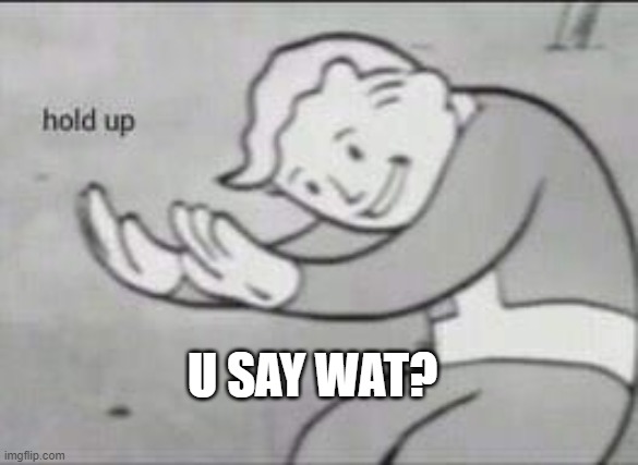 Fallout Hold Up | U SAY WAT? | image tagged in fallout hold up | made w/ Imgflip meme maker