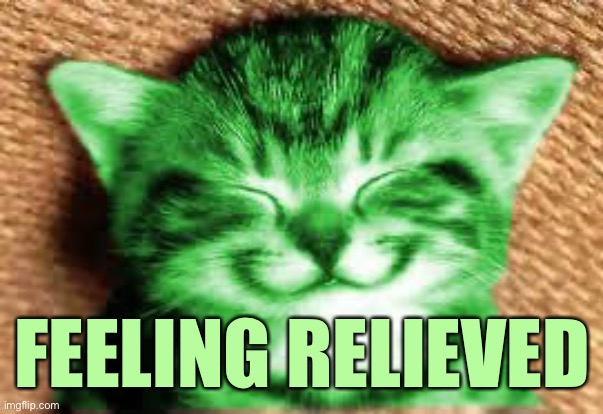 happy RayCat | FEELING RELIEVED | image tagged in happy raycat | made w/ Imgflip meme maker