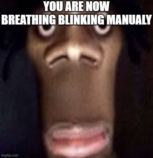 Quandale dingle | YOU ARE NOW BREATHING BLINKING MANUALY | image tagged in quandale dingle | made w/ Imgflip meme maker