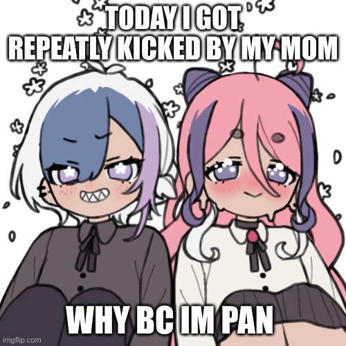 happy day (not) | TODAY I GOT REPEATLY KICKED BY MY MOM; WHY BC IM PAN | image tagged in t s | made w/ Imgflip meme maker