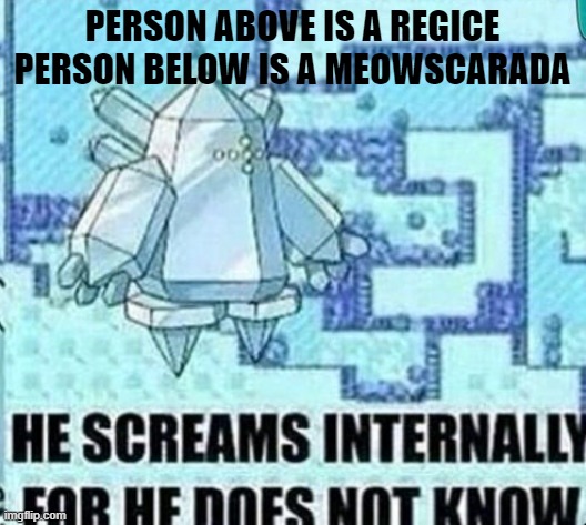 He screams internally for he does not know | PERSON ABOVE IS A REGICE
PERSON BELOW IS A MEOWSCARADA | image tagged in he screams internally for he does not know | made w/ Imgflip meme maker