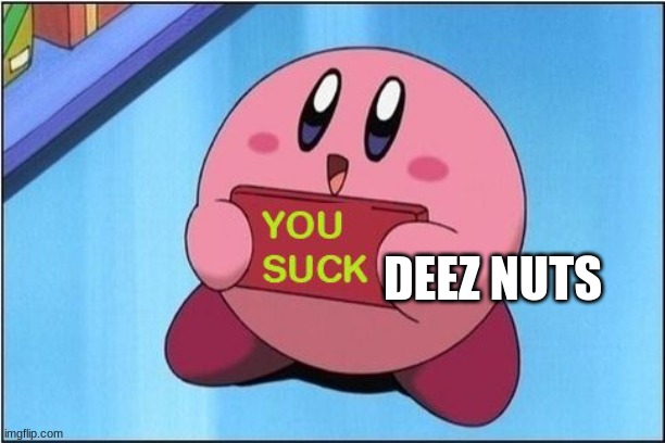 Kirby says You Suck | DEEZ NUTS | image tagged in kirby says you suck | made w/ Imgflip meme maker