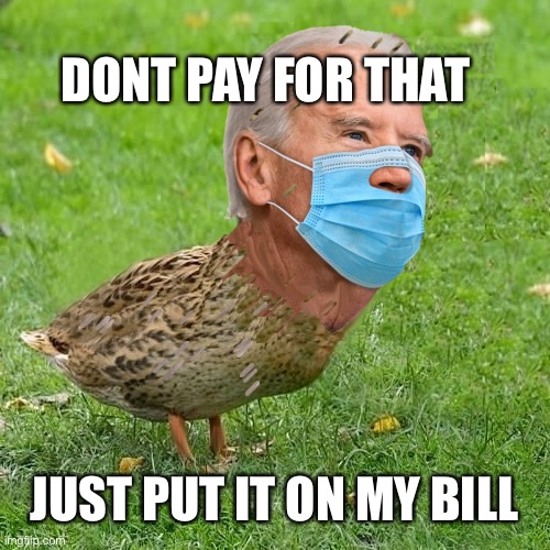 Hunters Laptop Repair Invoice | DONT PAY FOR THAT; JUST PUT IT ON MY BILL | image tagged in joe bidenduck,sup holmes,mtr602 | made w/ Imgflip meme maker