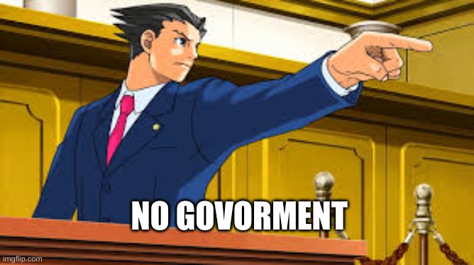Phoenix Wright's | NO GOVORMENT | image tagged in phoenix wright's | made w/ Imgflip meme maker