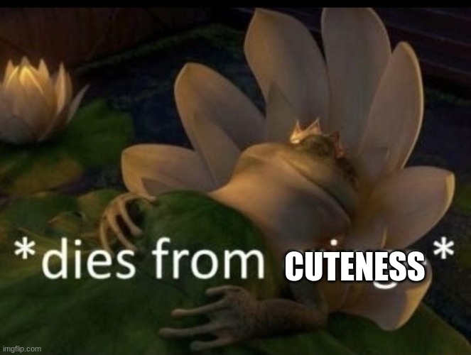 Dies from cringe | CUTENESS | image tagged in dies from cringe | made w/ Imgflip meme maker