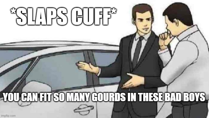 Car Salesman Slaps Roof Of Car Meme | *SLAPS CUFF*; YOU CAN FIT SO MANY GOURDS IN THESE BAD BOYS | image tagged in memes,car salesman slaps roof of car | made w/ Imgflip meme maker
