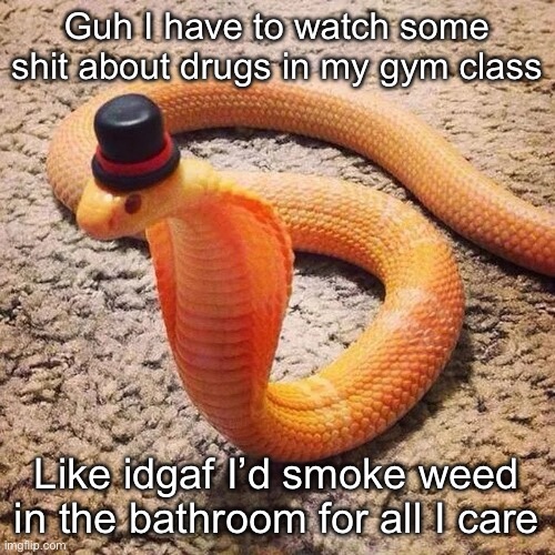 dapper snek | Guh I have to watch some shit about drugs in my gym class; Like idgaf I’d smoke weed in the bathroom for all I care | image tagged in dapper snek | made w/ Imgflip meme maker