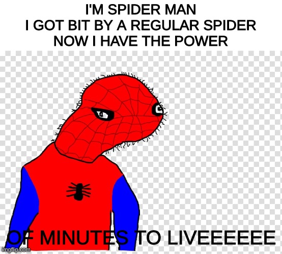 MINUTES TO LIVE | I'M SPIDER MAN
I GOT BIT BY A REGULAR SPIDER
NOW I HAVE THE POWER; OF MINUTES TO LIVEEEEEE | image tagged in spooder man | made w/ Imgflip meme maker