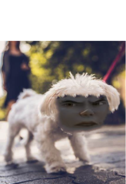 Strange Dog Blank Meme Template
