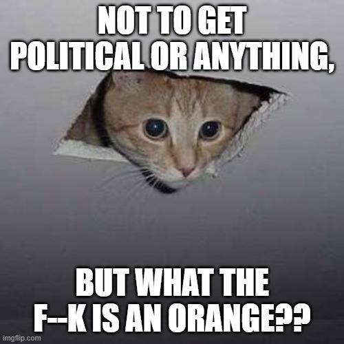 Ceiling Cat | NOT TO GET POLITICAL OR ANYTHING, BUT WHAT THE F--K IS AN ORANGE?? | image tagged in memes,ceiling cat | made w/ Imgflip meme maker