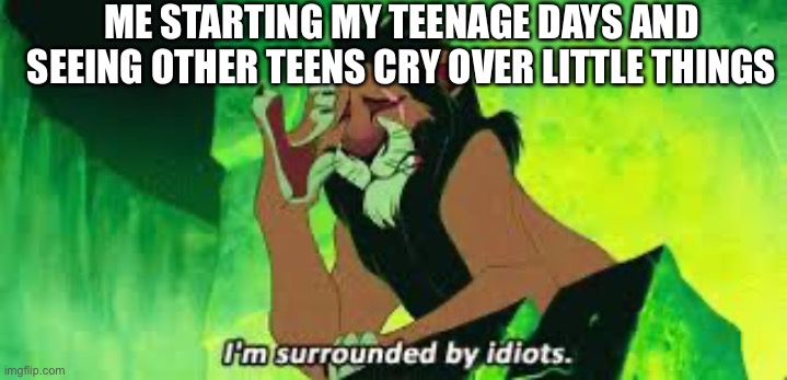 i'm surrounded by idiots | ME STARTING MY TEENAGE DAYS AND SEEING OTHER TEENS CRY OVER LITTLE THINGS | image tagged in i'm surrounded by idiots | made w/ Imgflip meme maker