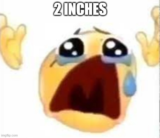 Crying emoji | 2 INCHES | image tagged in crying emoji | made w/ Imgflip meme maker