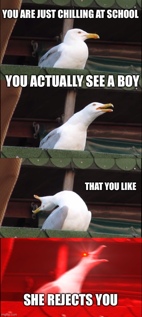 Inhaling Seagull | YOU ARE JUST CHILLING AT SCHOOL; YOU ACTUALLY SEE A BOY; THAT YOU LIKE; SHE REJECTS YOU | image tagged in memes,inhaling seagull | made w/ Imgflip meme maker