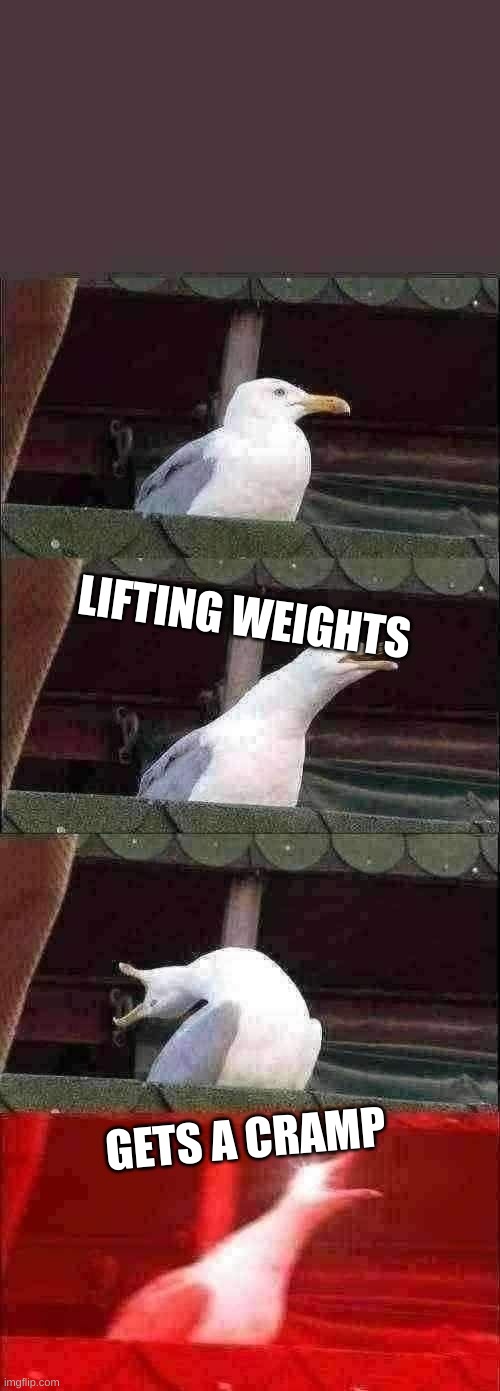 Inhaling Seagull Meme | LIFTING WEIGHTS; GETS A CRAMP | image tagged in memes,inhaling seagull | made w/ Imgflip meme maker