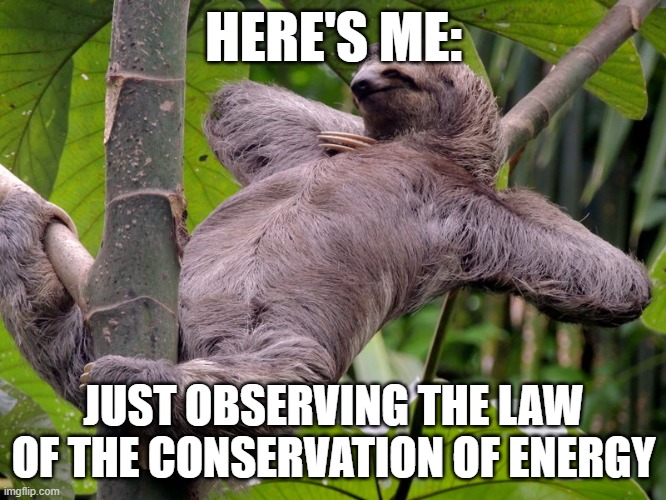 Lazy Sloth | HERE'S ME:; JUST OBSERVING THE LAW OF THE CONSERVATION OF ENERGY | image tagged in lazy sloth,law,physics | made w/ Imgflip meme maker
