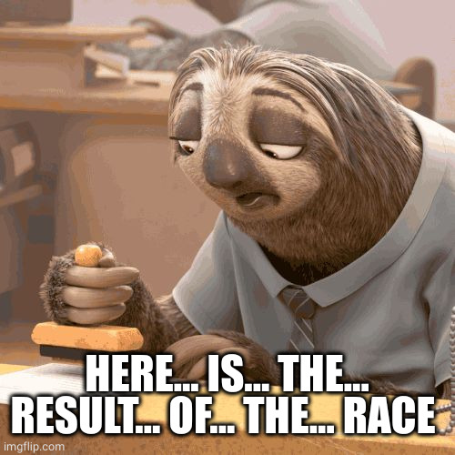 Slow sloth | HERE... IS... THE... RESULT... OF... THE... RACE | image tagged in slow sloth | made w/ Imgflip meme maker