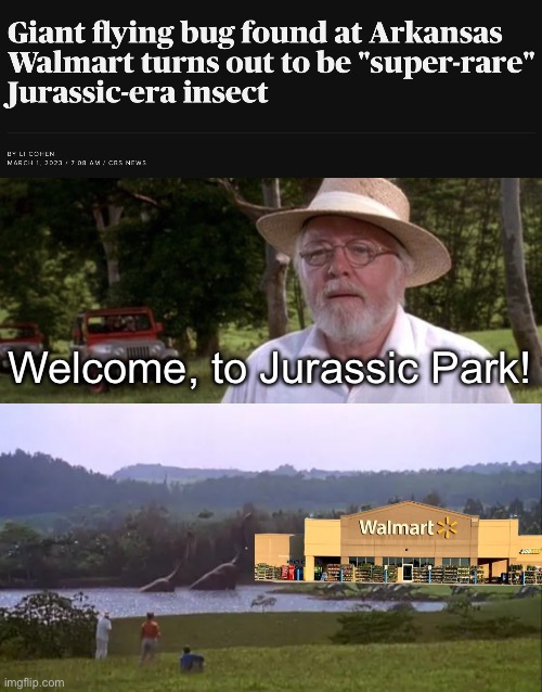 The scientist found it in 2012 and forgot about it for a decade | Welcome, to Jurassic Park! | image tagged in jurrasic park,memes,walmart,bugs,science | made w/ Imgflip meme maker