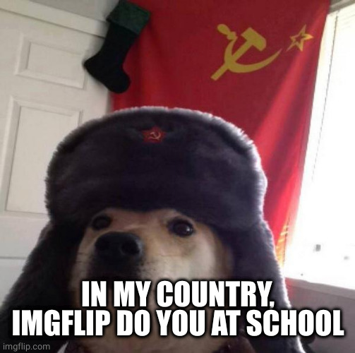 Russian Doge | IN MY COUNTRY, IMGFLIP DO YOU AT SCHOOL | image tagged in russian doge | made w/ Imgflip meme maker