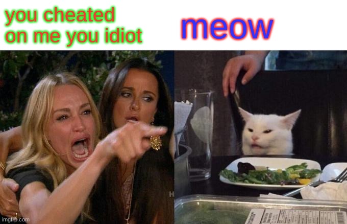 stupid woman | you cheated on me you idiot; meow | image tagged in memes,woman yelling at cat | made w/ Imgflip meme maker