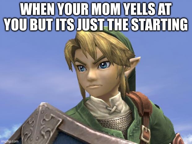 true | WHEN YOUR MOM YELLS AT YOU BUT ITS JUST THE STARTING | image tagged in link | made w/ Imgflip meme maker