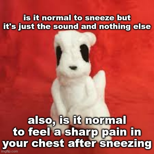 sgdhdnfnr | is it normal to sneeze but it's just the sound and nothing else; also, is it normal to feel a sharp pain in your chest after sneezing | image tagged in sgdhdnfnr | made w/ Imgflip meme maker