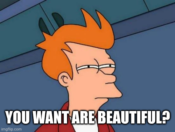 Futurama Fry Meme | YOU WANT ARE BEAUTIFUL? | image tagged in memes,futurama fry | made w/ Imgflip meme maker