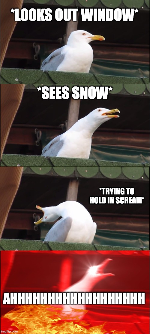 Inhaling Seagull | *LOOKS OUT WINDOW*; *SEES SNOW*; *TRYING TO HOLD IN SCREAM*; AHHHHHHHHHHHHHHHHHH | image tagged in memes,inhaling seagull | made w/ Imgflip meme maker