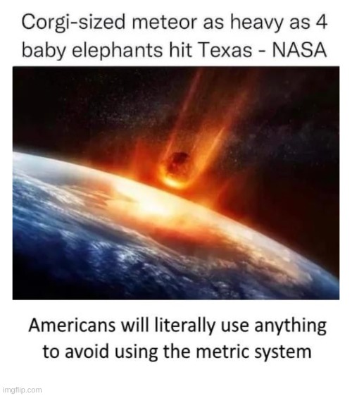 Really | image tagged in eyeroll | made w/ Imgflip meme maker