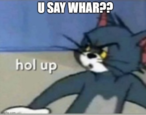 Hol up | U SAY WHAR?? | image tagged in hol up | made w/ Imgflip meme maker