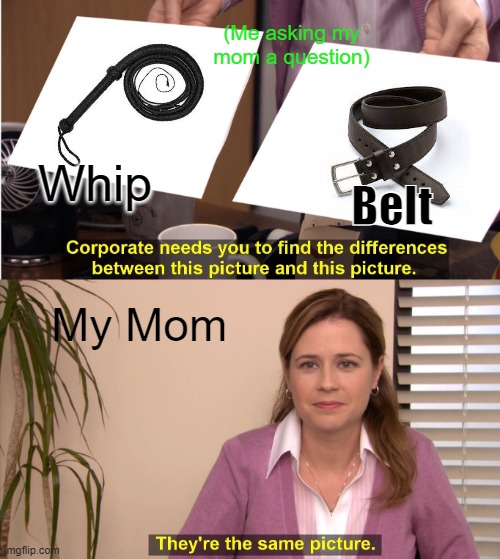 They're The Same Picture | (Me asking my mom a question); Whip; Belt; My Mom | image tagged in memes,they're the same picture | made w/ Imgflip meme maker