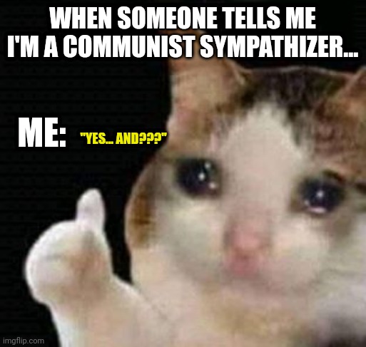It's like you didn't know this already | WHEN SOMEONE TELLS ME I'M A COMMUNIST SYMPATHIZER... ME:; "YES... AND???" | image tagged in sad thumbs up cat | made w/ Imgflip meme maker