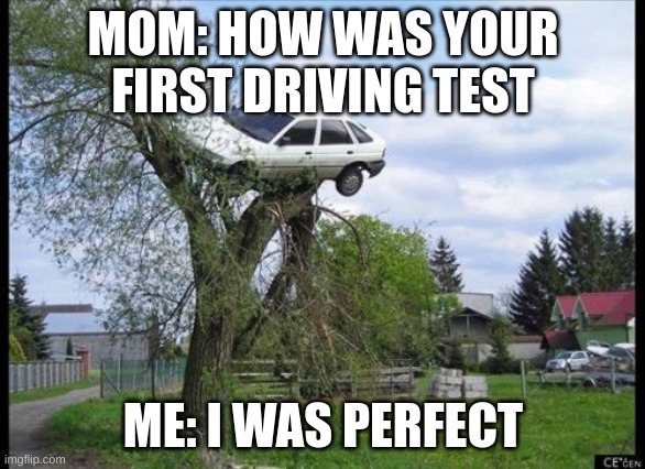 Secure Parking | MOM: HOW WAS YOUR FIRST DRIVING TEST; ME: I WAS PERFECT | image tagged in memes,secure parking | made w/ Imgflip meme maker