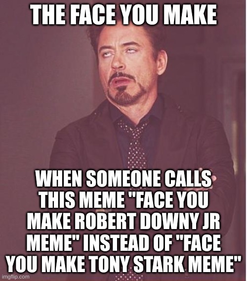 Face You Make Robert Downey Jr | THE FACE YOU MAKE; WHEN SOMEONE CALLS THIS MEME "FACE YOU MAKE ROBERT DOWNY JR MEME" INSTEAD OF "FACE YOU MAKE TONY STARK MEME" | image tagged in memes,face you make robert downey jr | made w/ Imgflip meme maker