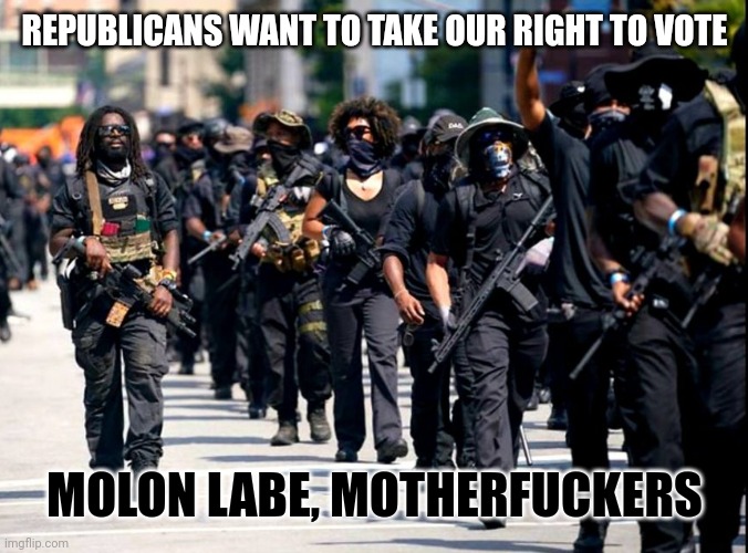 How to defend against fascism | REPUBLICANS WANT TO TAKE OUR RIGHT TO VOTE; MOLON LABE, MOTHERFUCKERS | image tagged in jim crow 2,civil rights,2nd amendment,nfac,black guns matter,blm | made w/ Imgflip meme maker