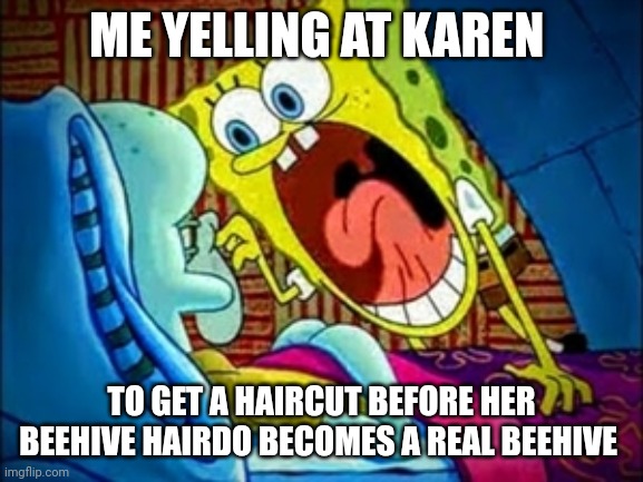 Hurry! Before your beehive becomes a real beehive | ME YELLING AT KAREN; TO GET A HAIRCUT BEFORE HER BEEHIVE HAIRDO BECOMES A REAL BEEHIVE | image tagged in spongebob yelling | made w/ Imgflip meme maker