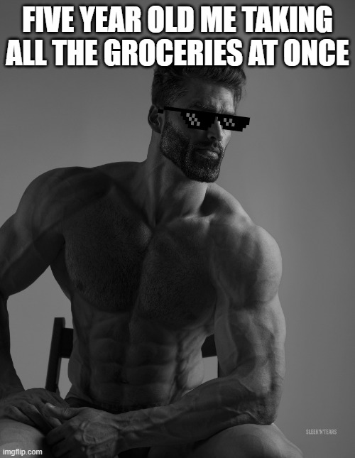 Giga Chad | FIVE YEAR OLD ME TAKING ALL THE GROCERIES AT ONCE | image tagged in giga chad | made w/ Imgflip meme maker