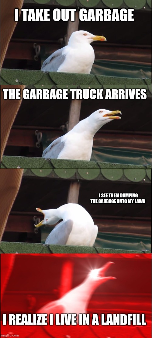 I don't actually live in a landfill | I TAKE OUT GARBAGE; THE GARBAGE TRUCK ARRIVES; I SEE THEM DUMPING THE GARBAGE ONTO MY LAWN; I REALIZE I LIVE IN A LANDFILL | image tagged in memes,inhaling seagull | made w/ Imgflip meme maker