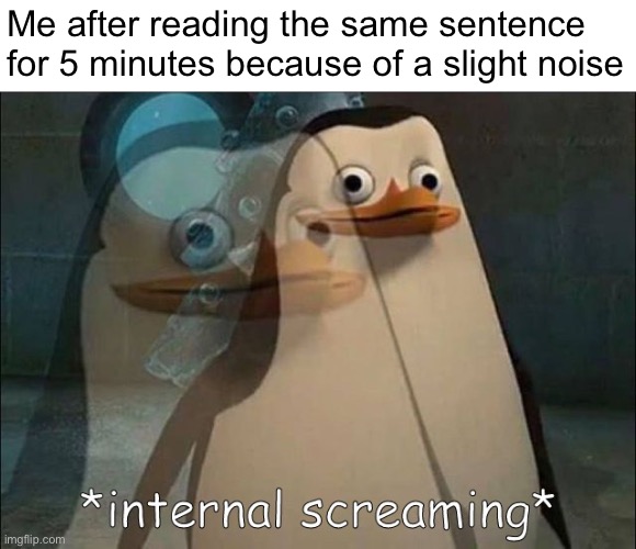 I hate when this happens | Me after reading the same sentence for 5 minutes because of a slight noise | image tagged in private internal screaming,memes,funny memes,relatable,funny | made w/ Imgflip meme maker