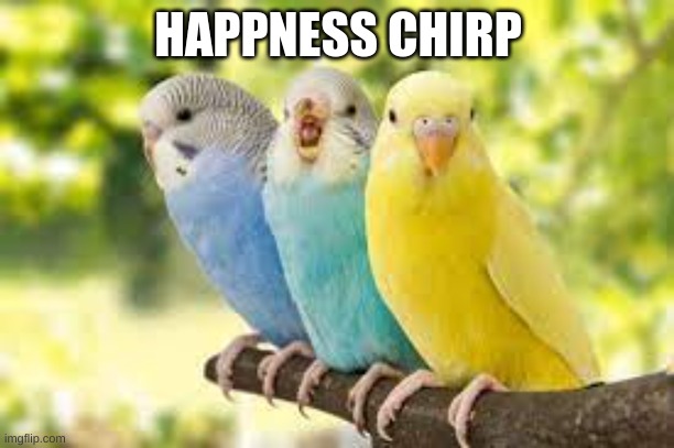HAPPNESS CHIRP | made w/ Imgflip meme maker