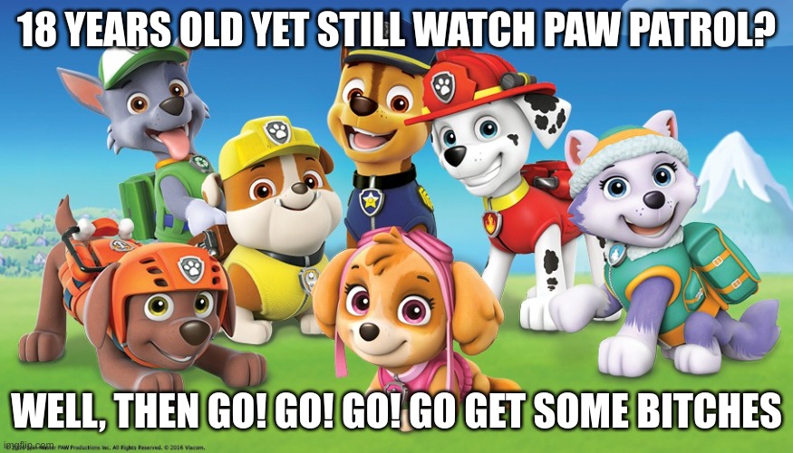 PAW Patrol | 18 YEARS OLD YET STILL WATCH PAW PATROL? WELL, THEN GO! GO! GO! GO GET SOME BITCHES | image tagged in paw patrol | made w/ Imgflip meme maker