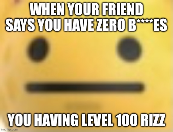 ._. | WHEN YOUR FRIEND SAYS YOU HAVE ZERO B****ES; YOU HAVING LEVEL 100 RIZZ | image tagged in memes,funny,level expert | made w/ Imgflip meme maker